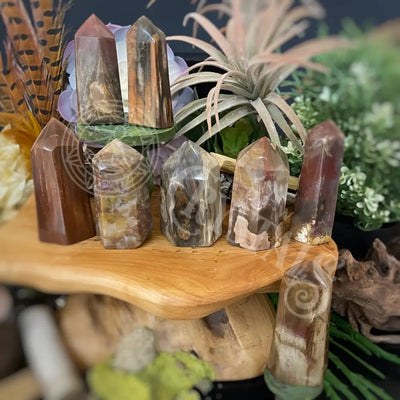 Tower Point Obelisk - Petrified / Fossilized Wood 3.0 3.6 Crystals