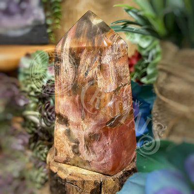 Tower Point Obelisk - Petrified / Fossilized Wood 3.7 4.75 A Crystals