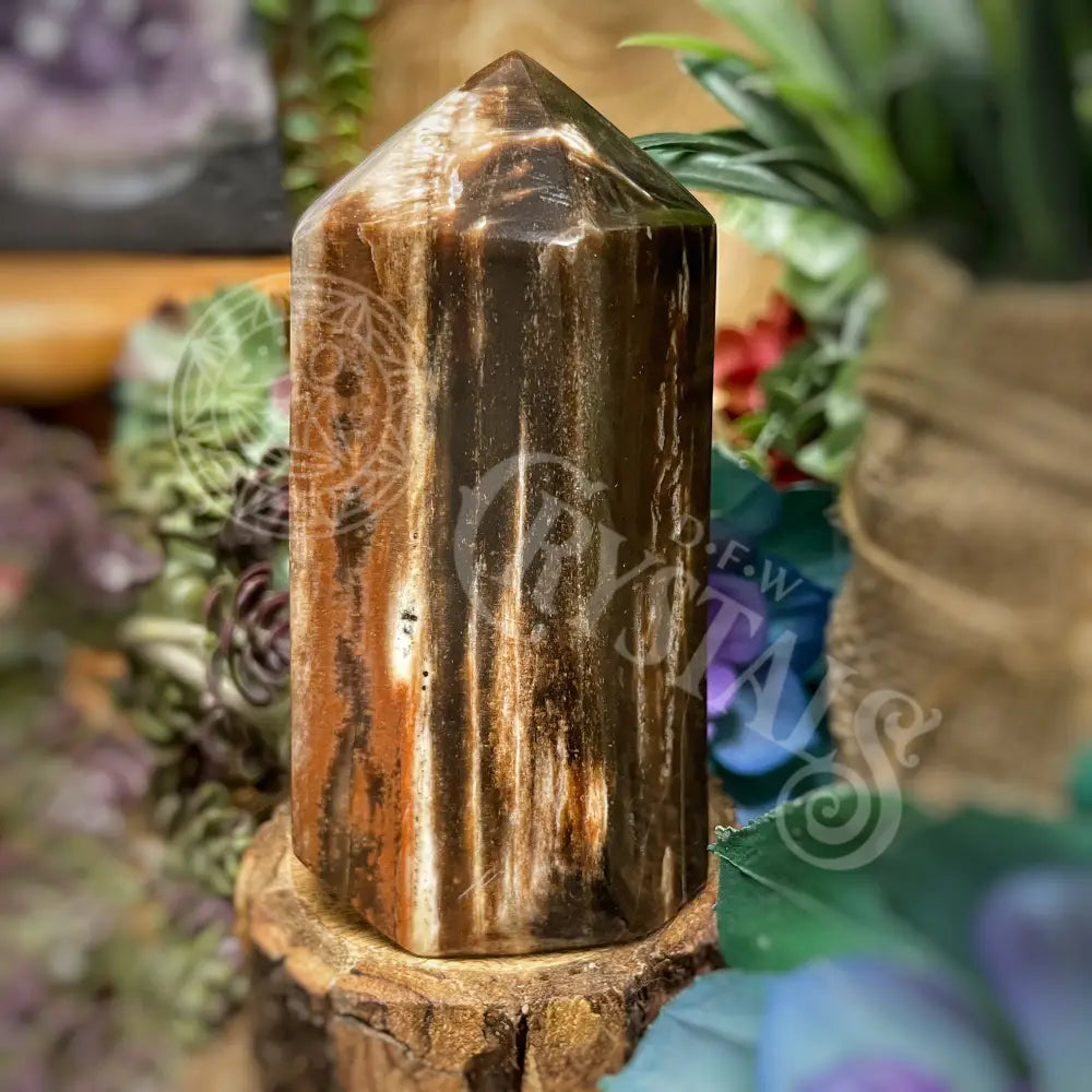 Tower Point Obelisk - Petrified / Fossilized Wood 3.7 4.75 B 3.75 Crystals