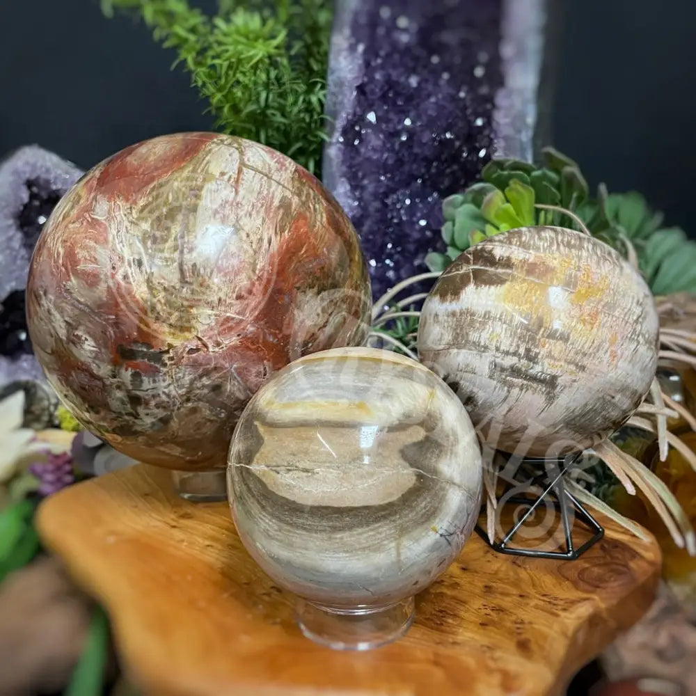 Sphere - Petrified / Fossilized Wood Multi Choice Crystals