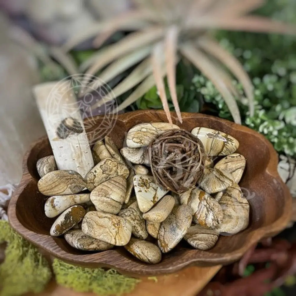 Tumbled - Picture Jasper 1 2 Crystals