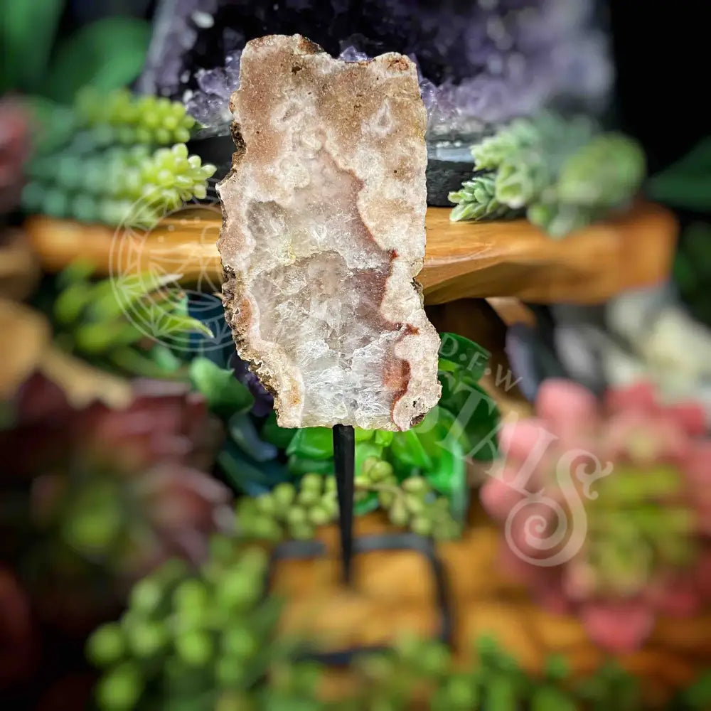 Free Form - Pink Amethyst On Stand 2.1’ X 0.6’ 4’ (W/ Height =6’) Crystals Freeform