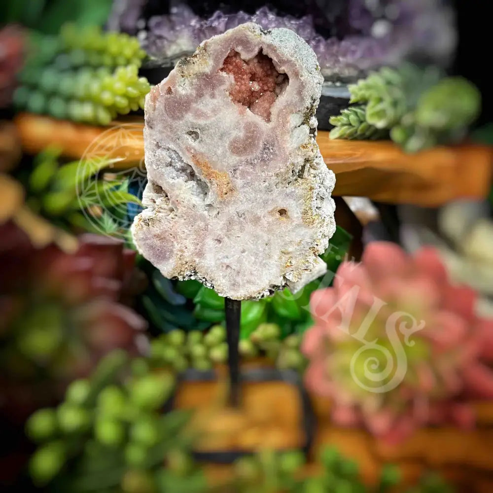 Free Form - Pink Amethyst On Stand 2.6’ X 0.6’ 3.8’ (W/ Height =5.8’) Crystals Freeform