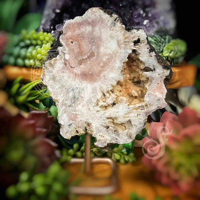 Free Form - Pink Amethyst On Stand 4.2’ X 0.8’ 4.8’ (W/ Height =6’) Crystals Freeform