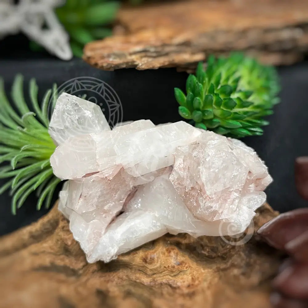 Pink Lemurian Quartz - 2.0 4.0 C Crystals Cluster