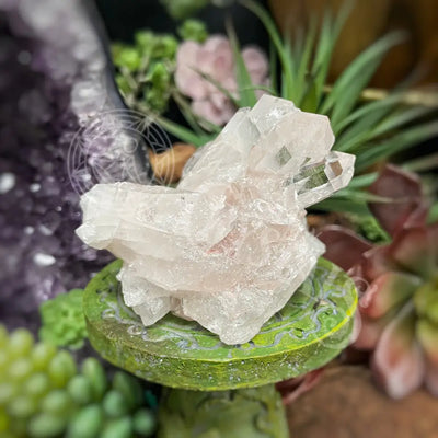 Pink Lemurian Quartz - 2.0 4.0 D Crystals Cluster