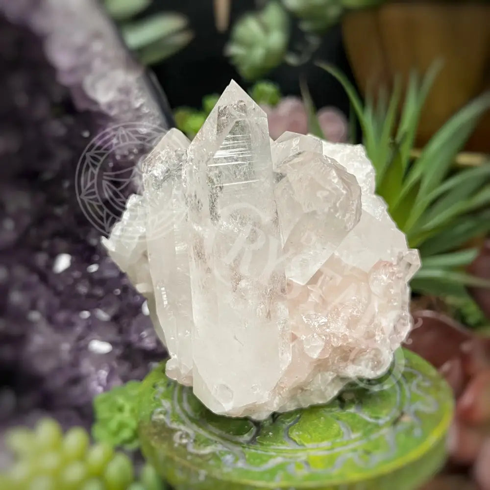 Pink Lemurian Quartz - 2.0 4.0 E Crystals Cluster