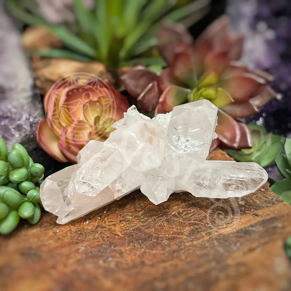 Pink Lemurian Quartz - 2.0 4.0 G Crystals Cluster