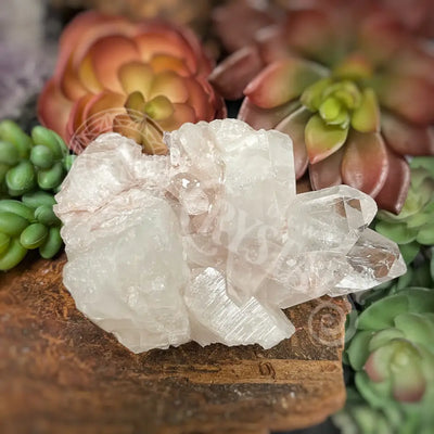 Pink Lemurian Quartz - 2.0 4.0 H Crystals Cluster