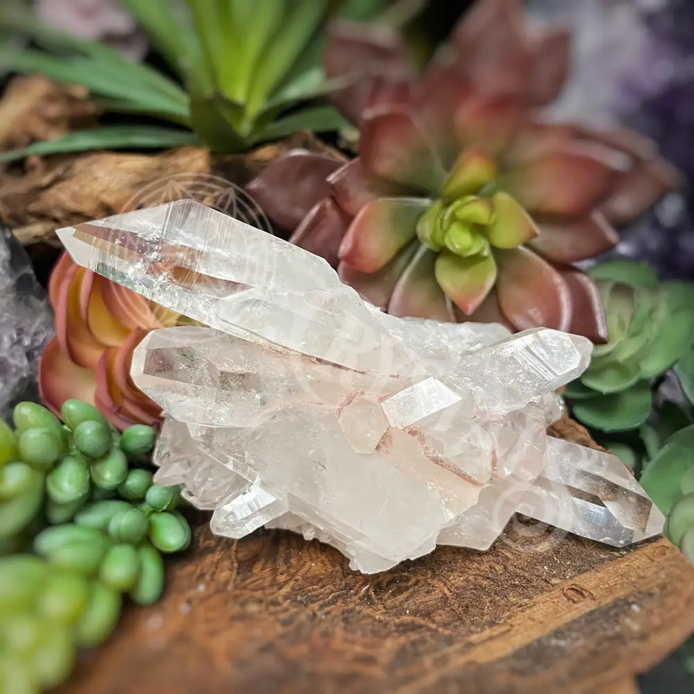 Pink Lemurian Quartz - 2.0 4.0 I Crystals Cluster