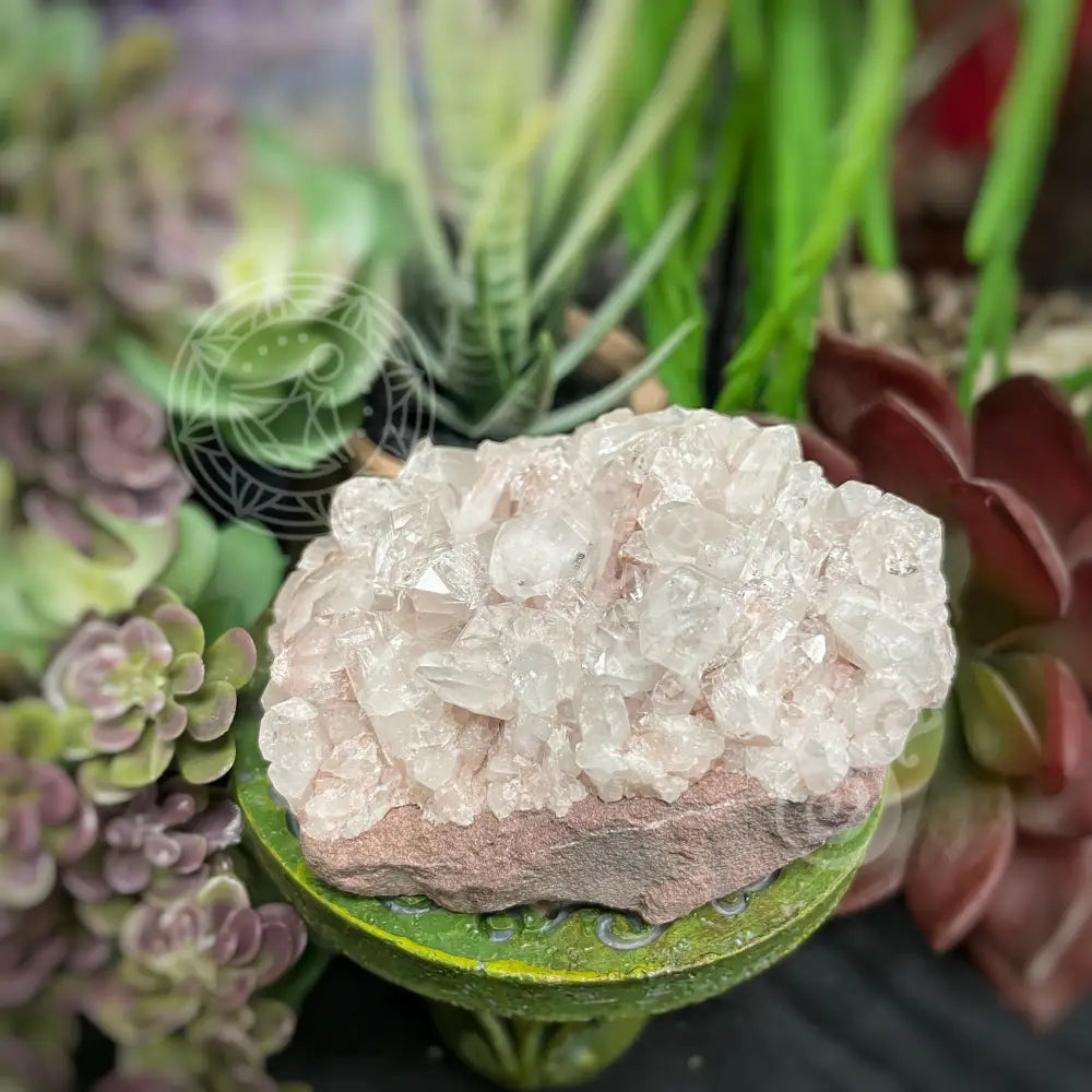 Pink Lemurian Quartz - 3.0 4.25 D Crystals Cluster