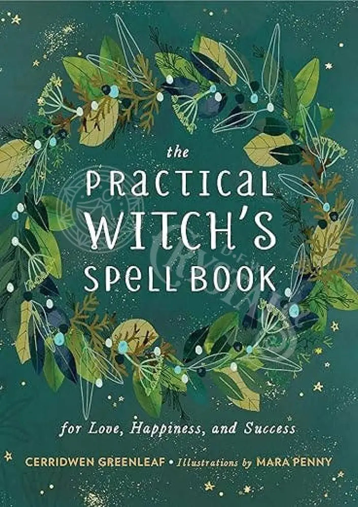 Practical Witch’s Spell Book: Love Happiness & Success  Books - Witchcraft