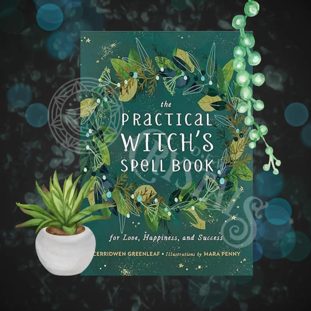 Practical Witch’s Spell Book: Love Happiness & Success  Books - Witchcraft