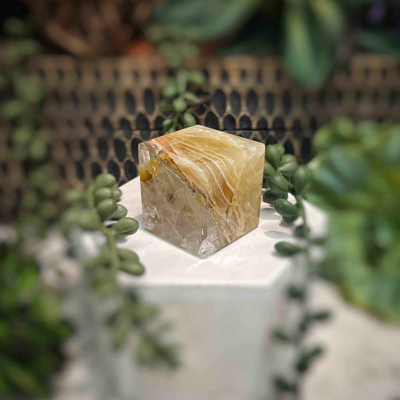 Golden Healer - Cube - 1.25"