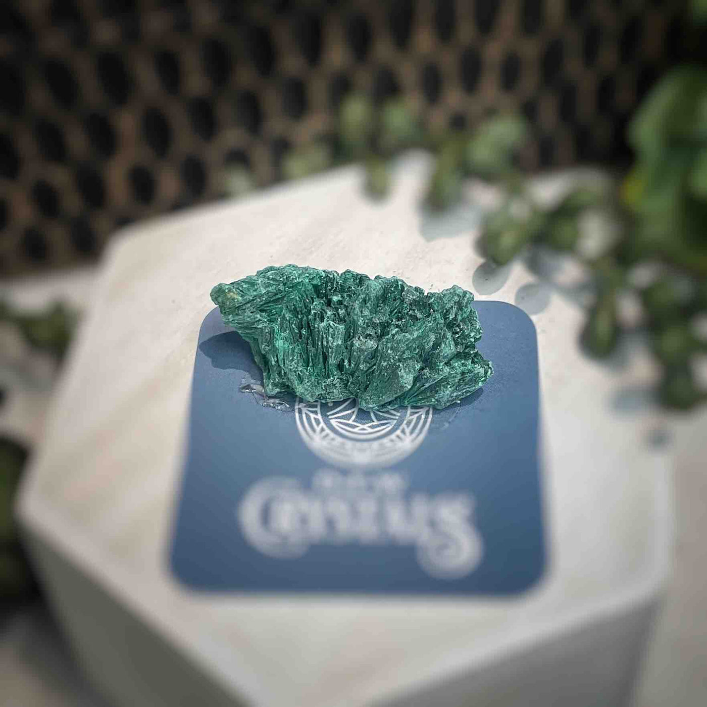 Malachite - Specimen - QQ392