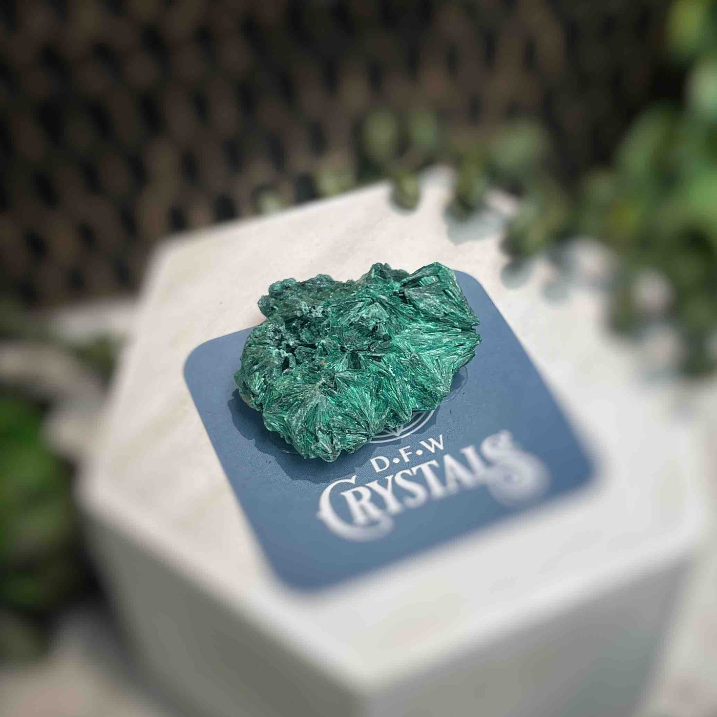 Malachite - Specimen - QQ393