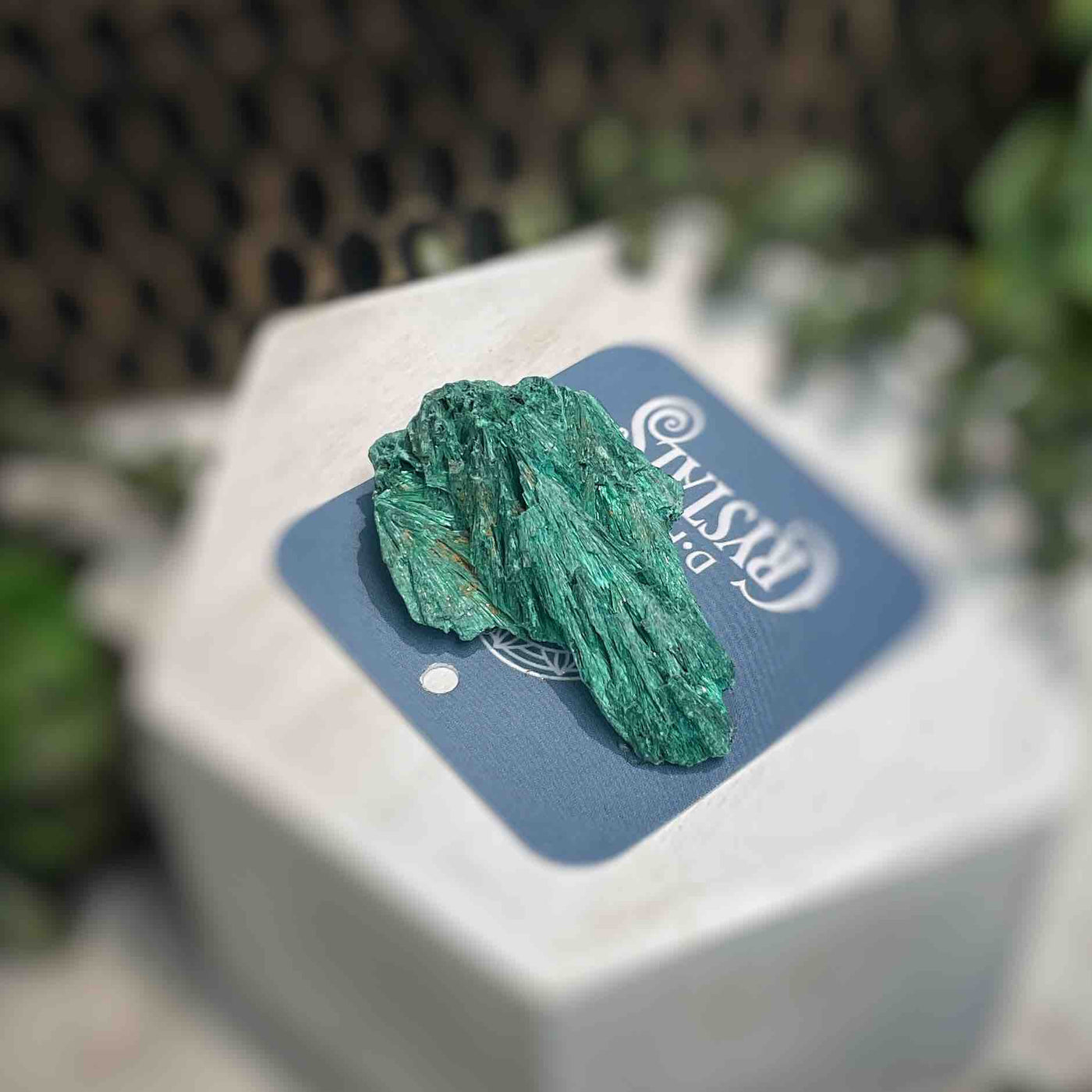 Malachite - Specimen - QQ397