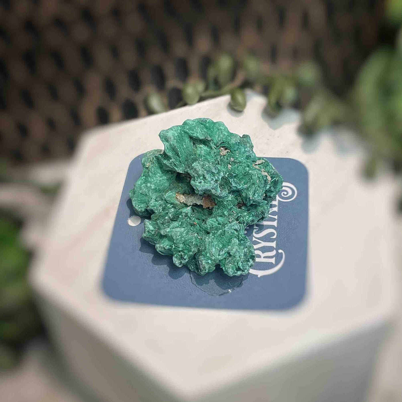 Malachite - Specimen - QQ403