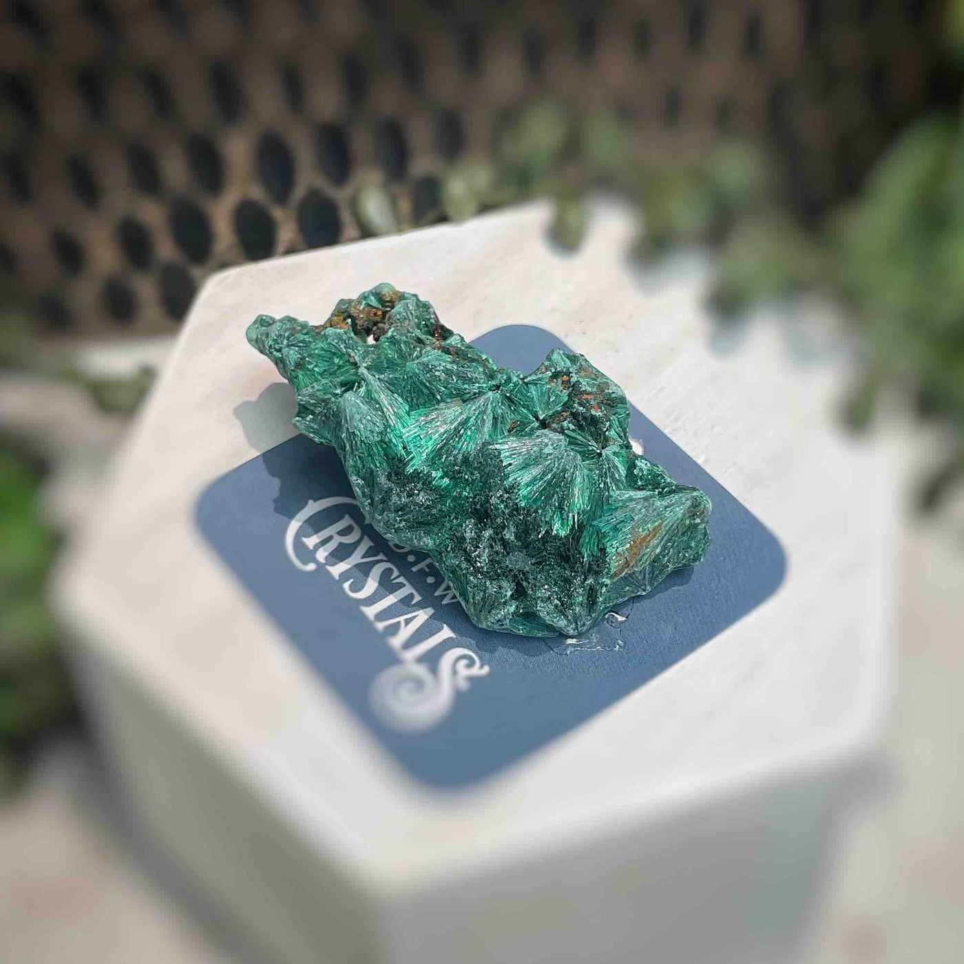 Malachite - Specimen - QQ406