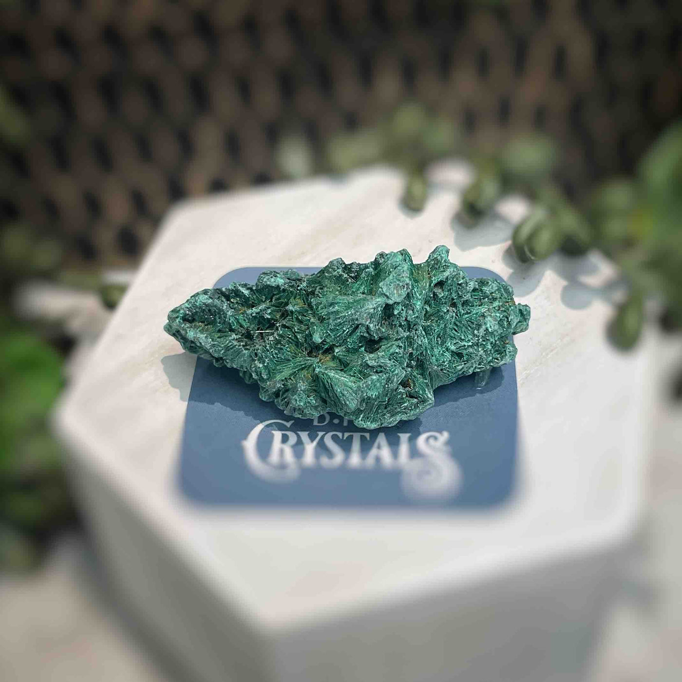 Malachite - Specimen - QQ408