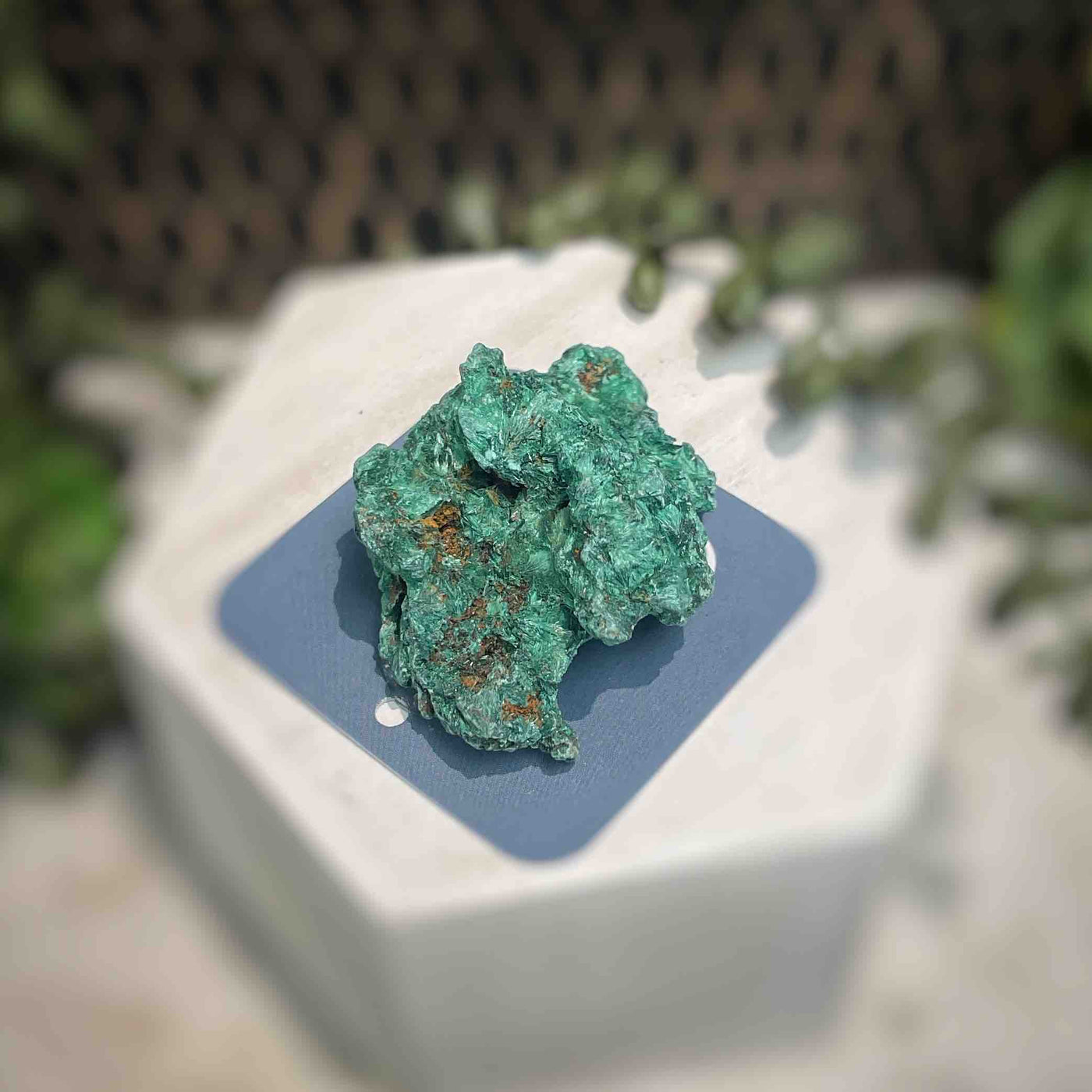 Malachite - Specimen - QQ409