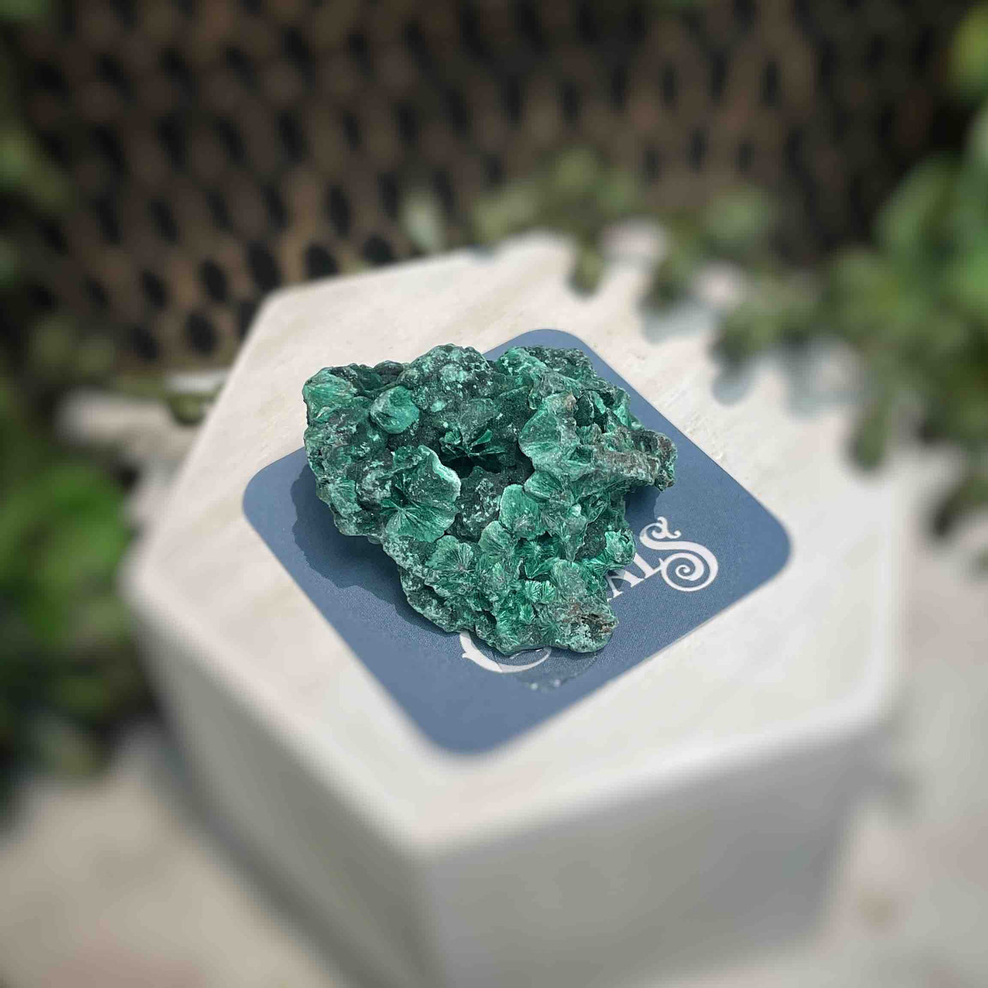 Malachite - Specimen - QQ410