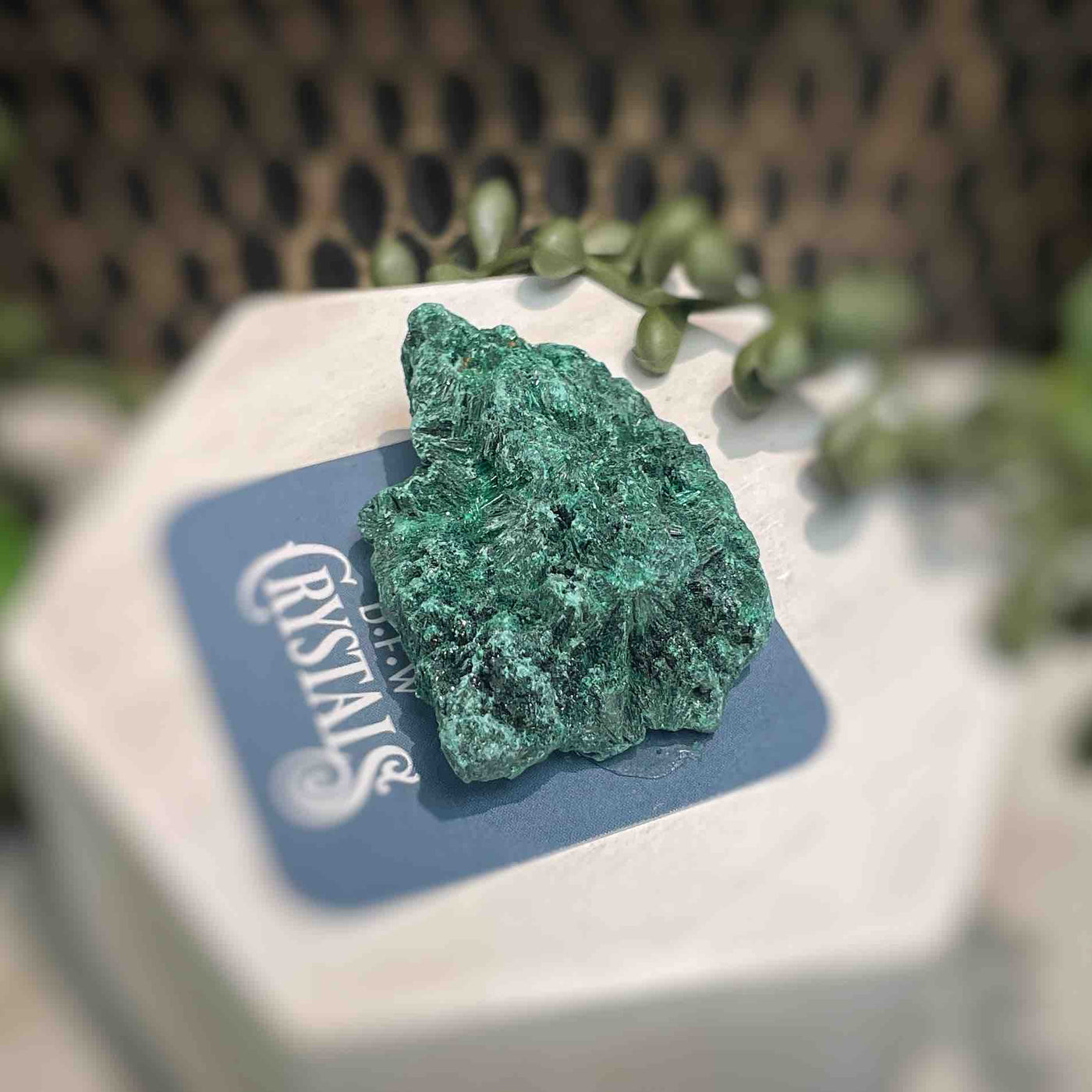 Malachite - Specimen - QQ411
