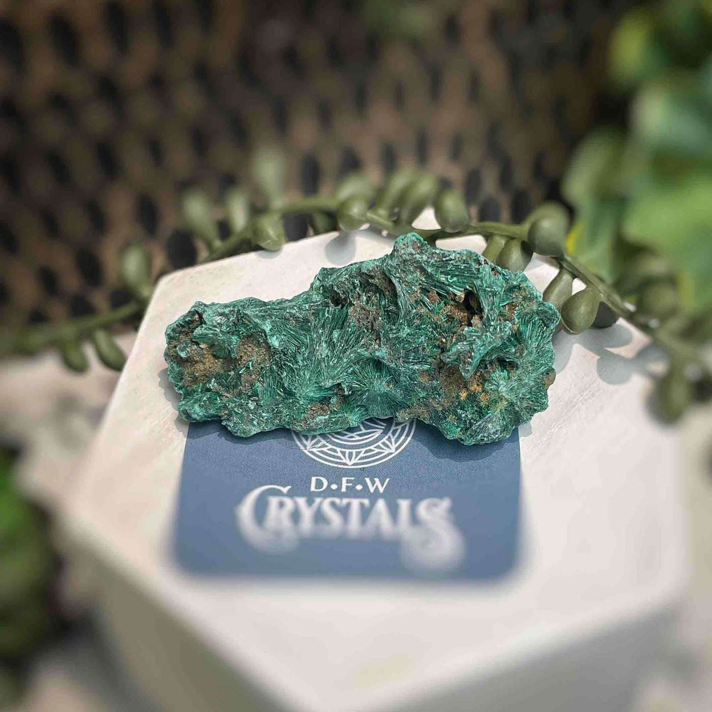 Malachite - Specimen - QQ414