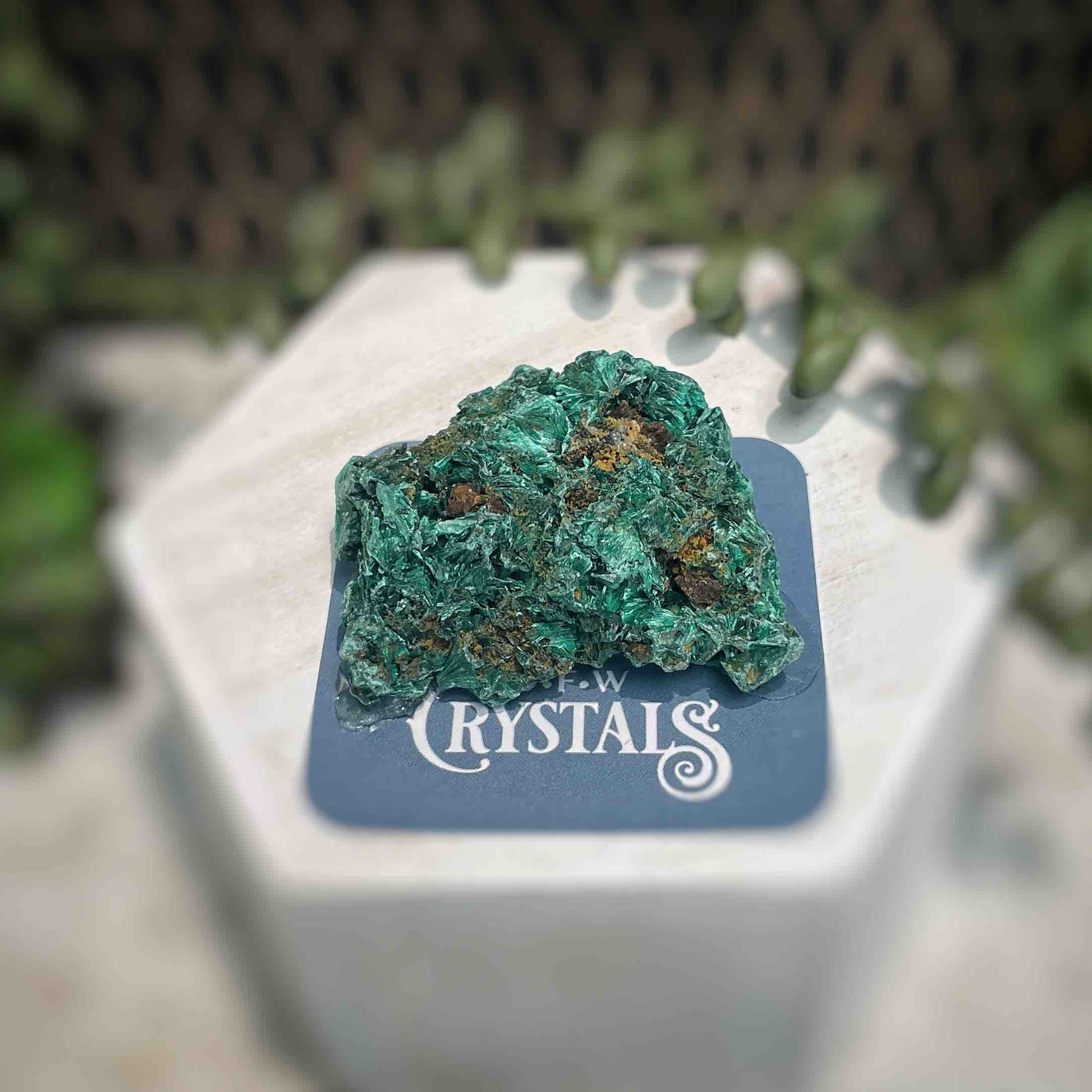 Malachite - Specimen - QQ417