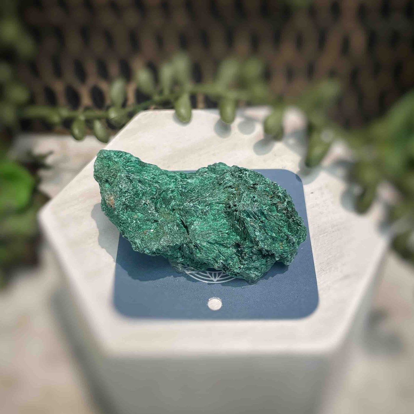 Malachite - Specimen - QQ418