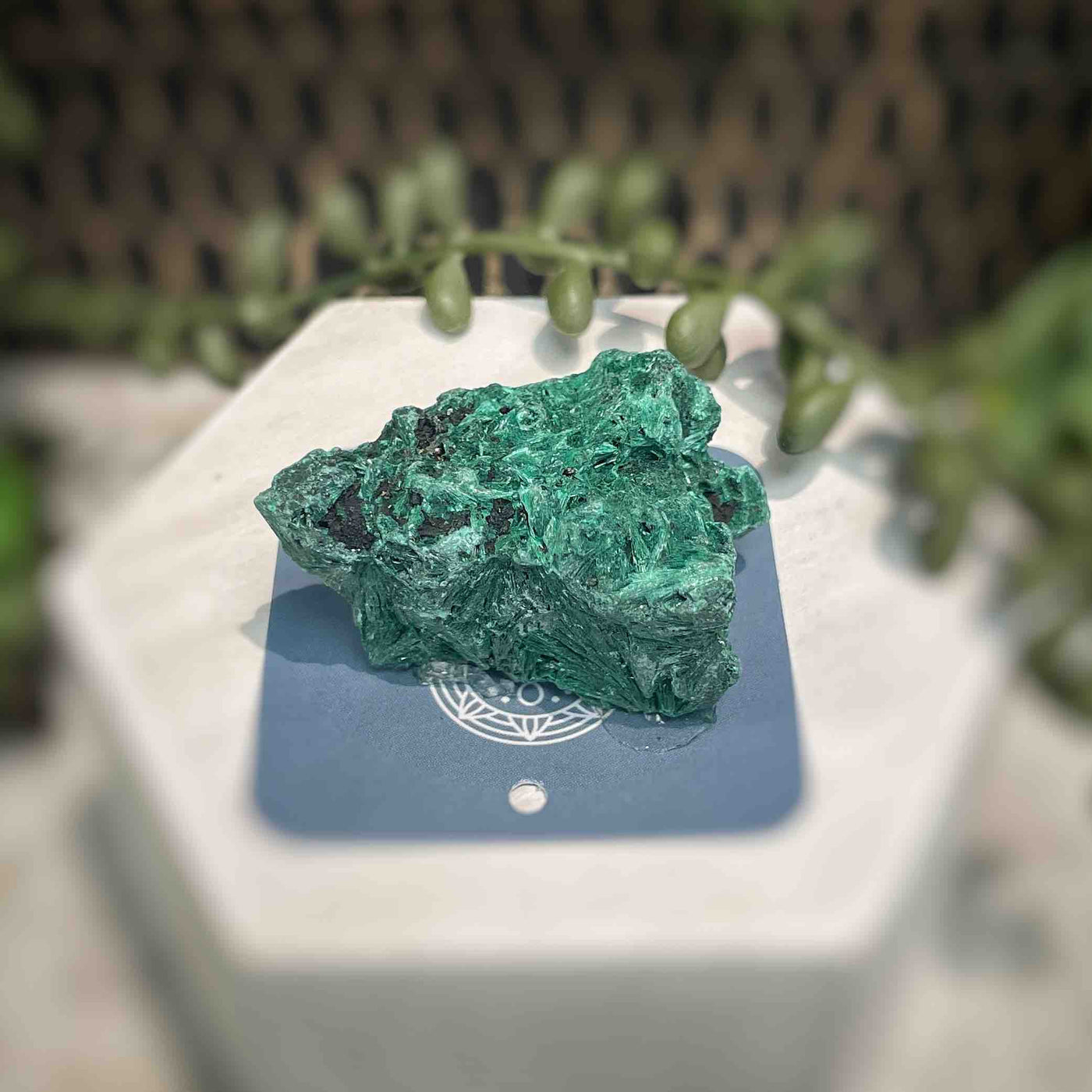 Malachite - Specimen - QQ419