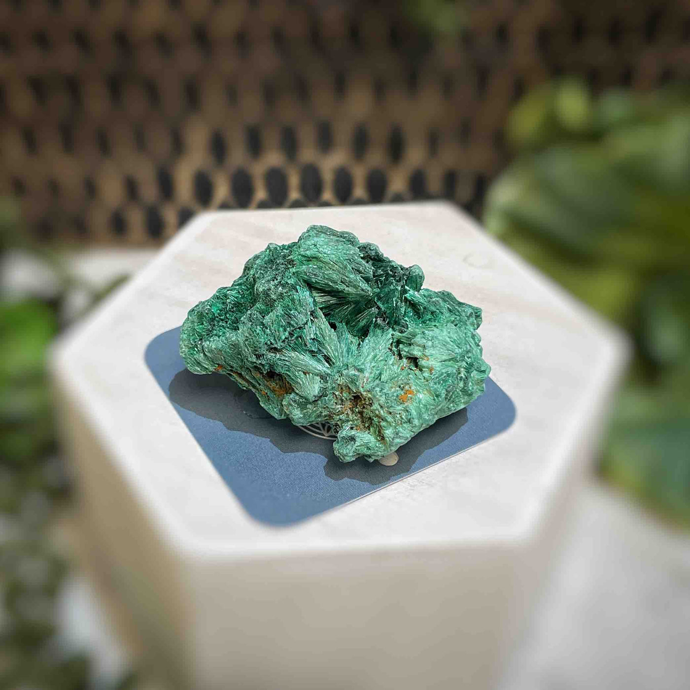Malachite - Specimen - QQ421