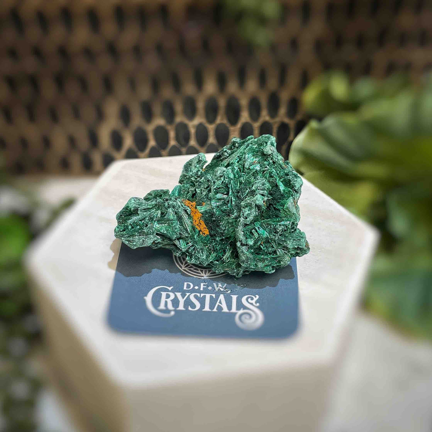 Malachite - Specimen - QQ422