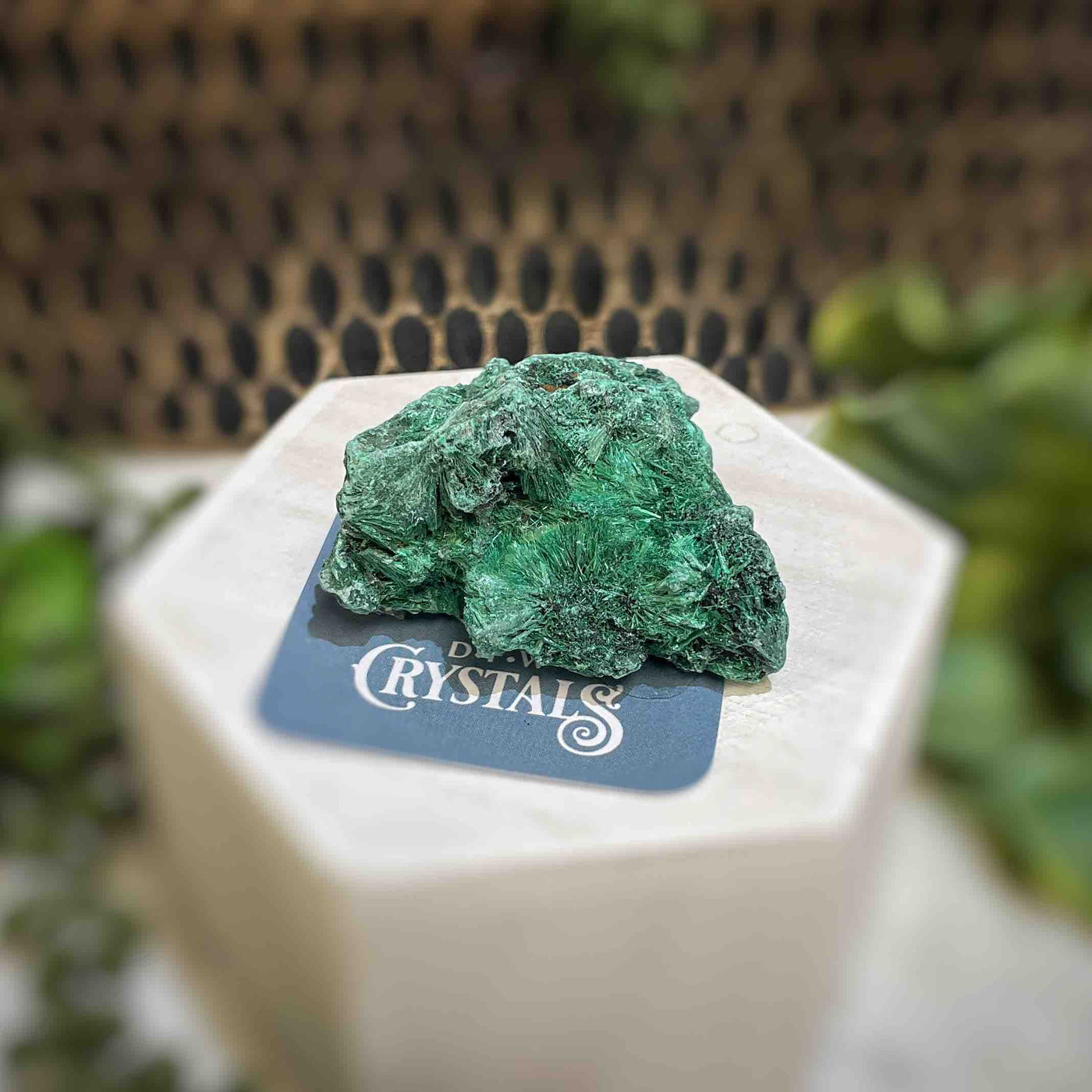 Malachite - Specimen - QQ423