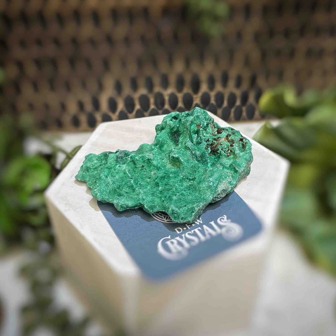 Malachite - Specimen - QQ424