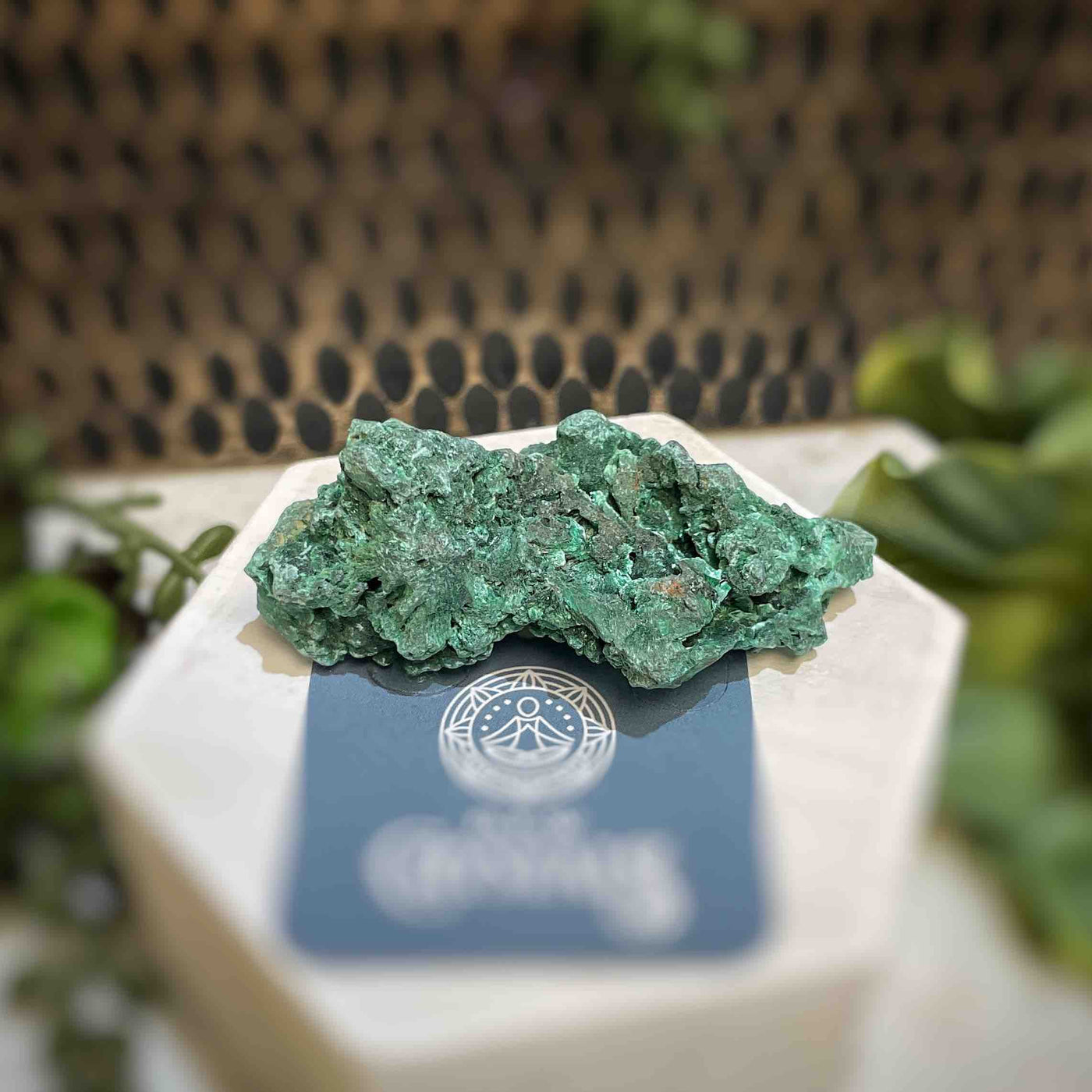 Malachite - Specimen - QQ425
