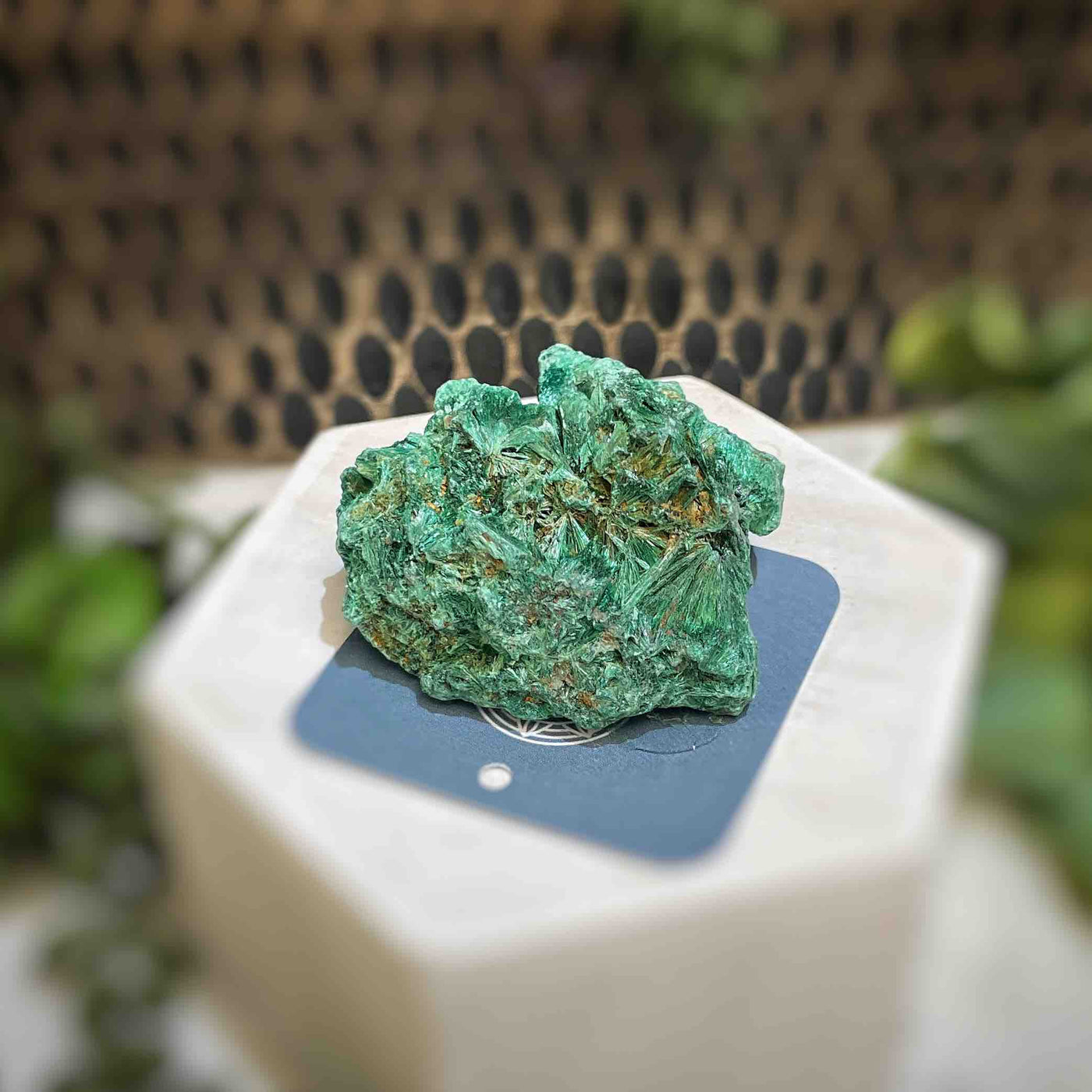 Malachite - Specimen - QQ426