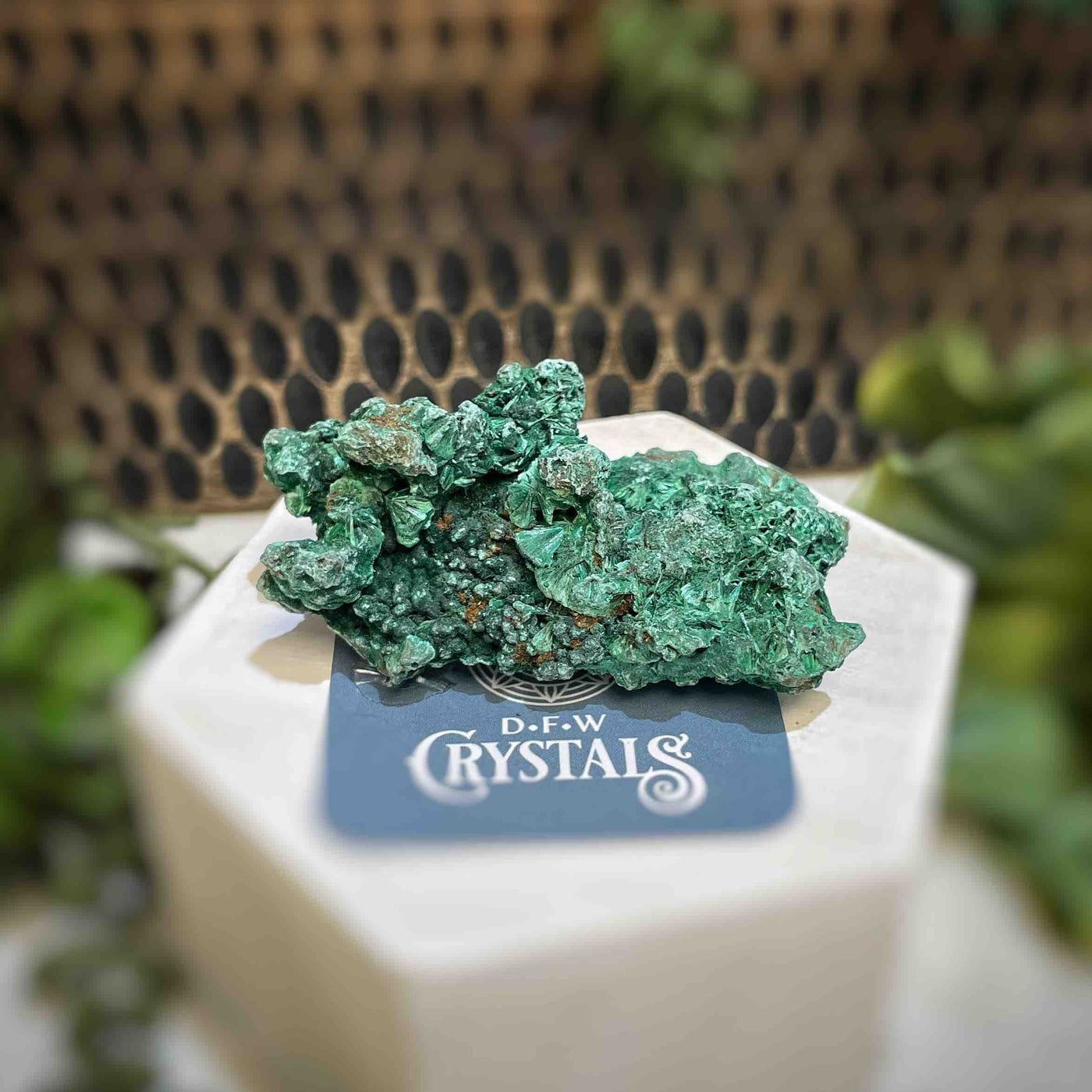 Malachite - Specimen - QQ427