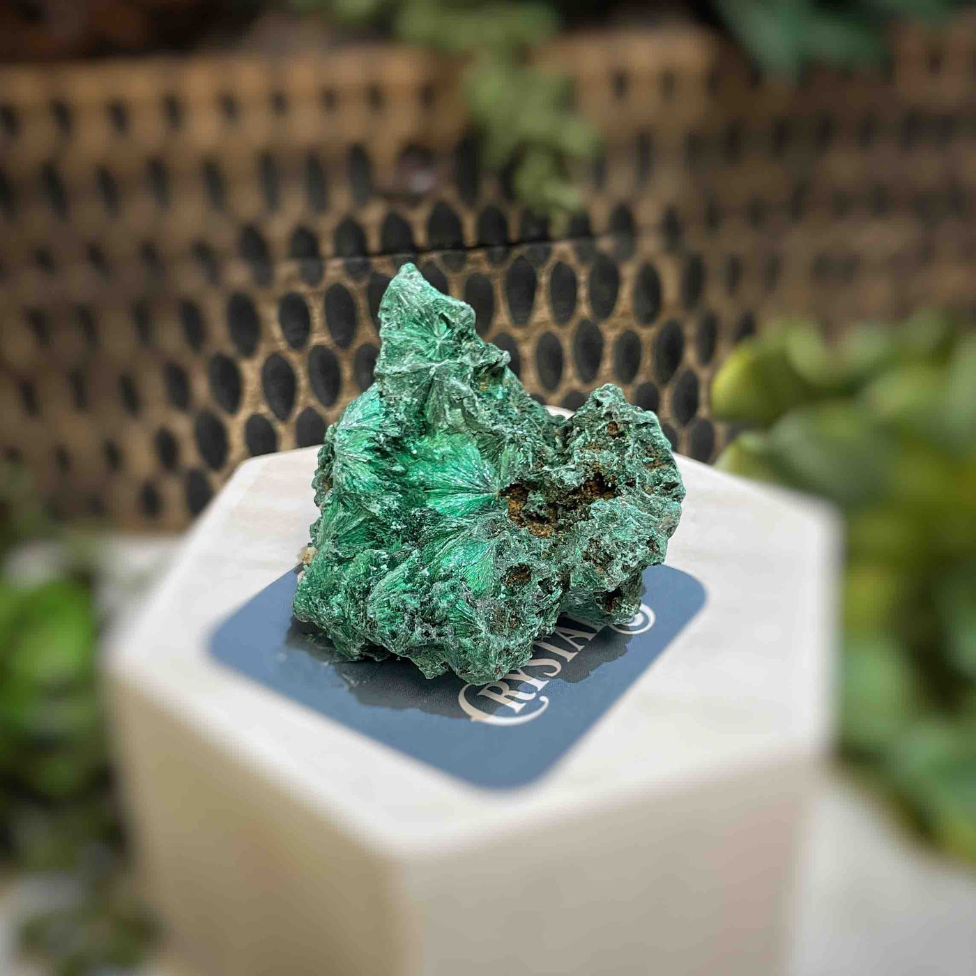Malachite - Specimen - QQ428
