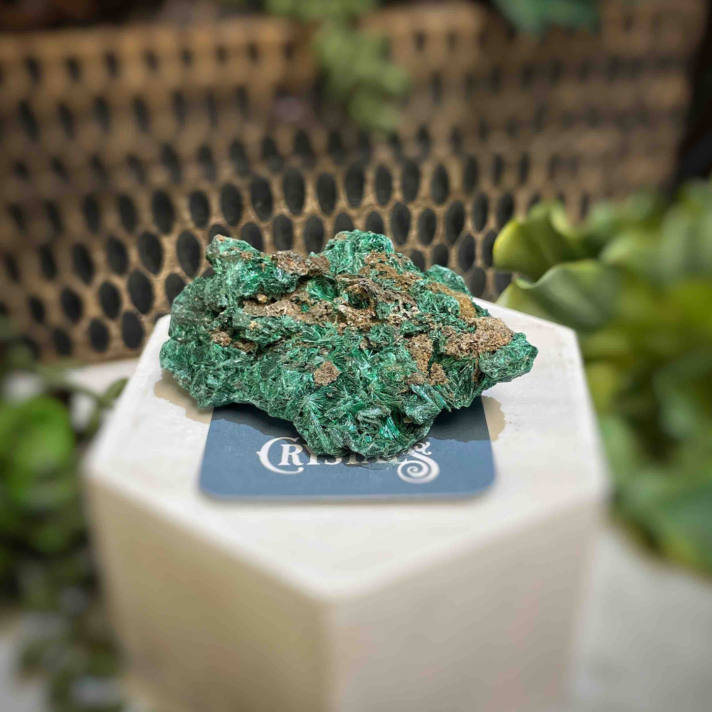 Malachite - Specimen - QQ431