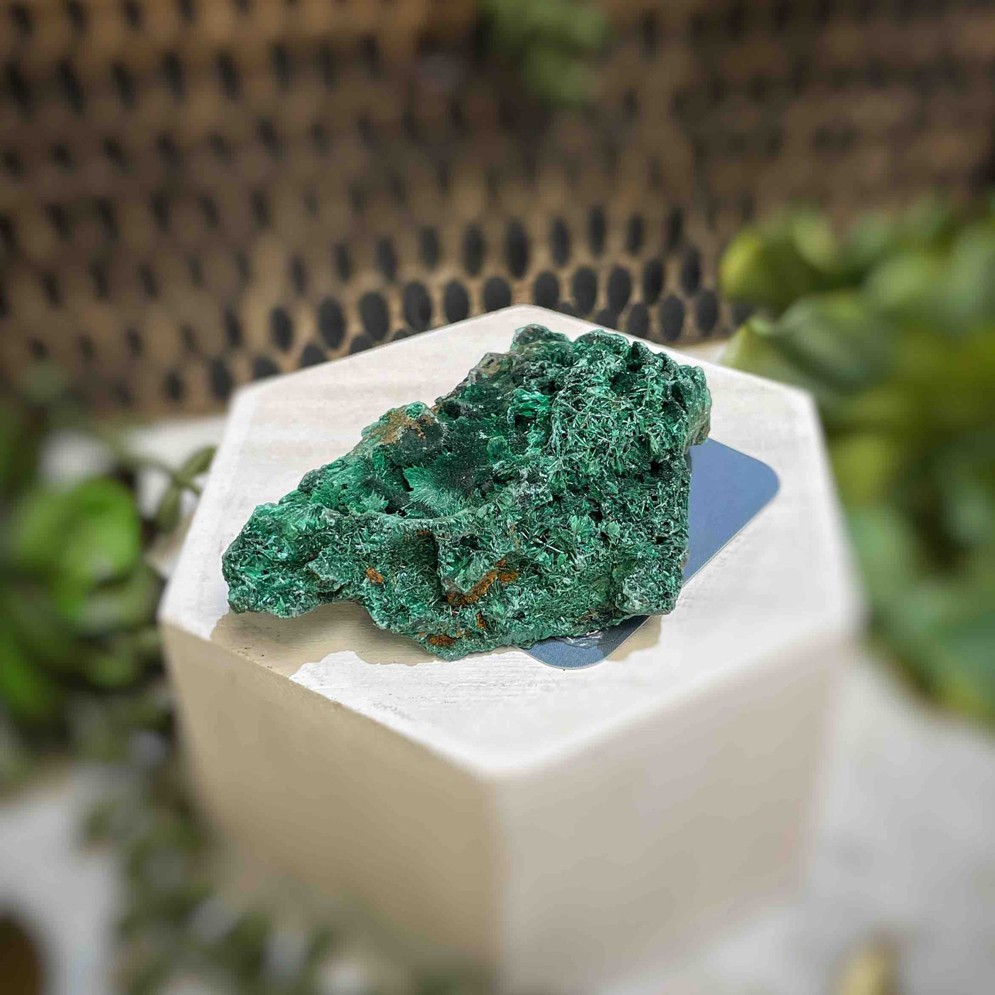 Malachite - Specimen - QQ432
