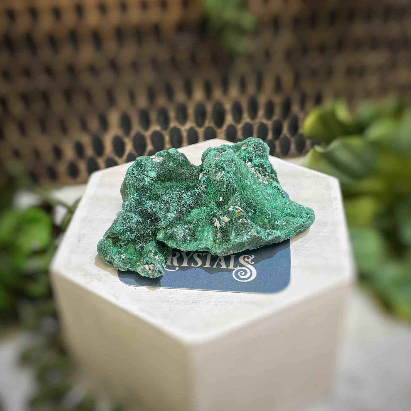 Malachite - Specimen - QQ434