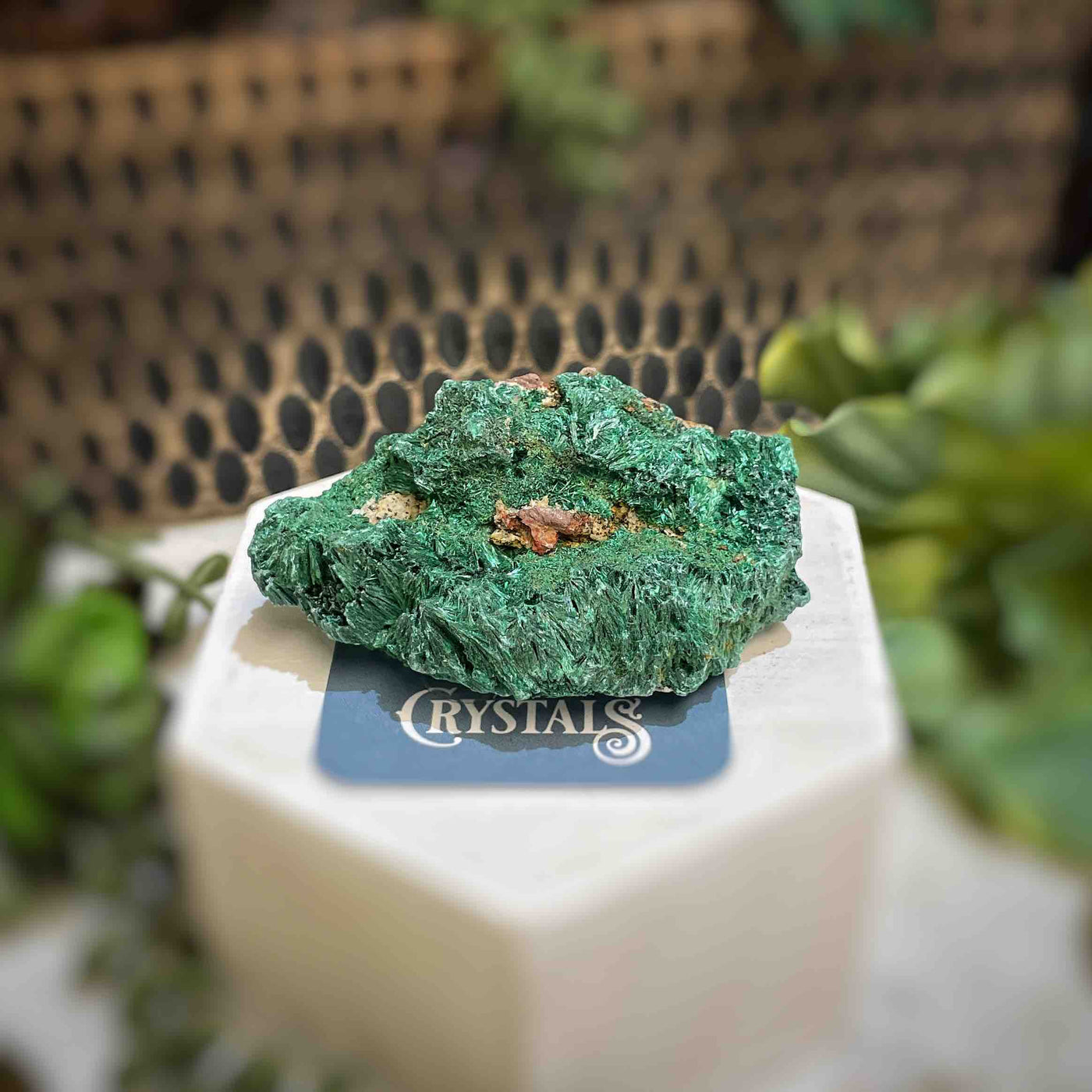 Malachite - Specimen - QQ435