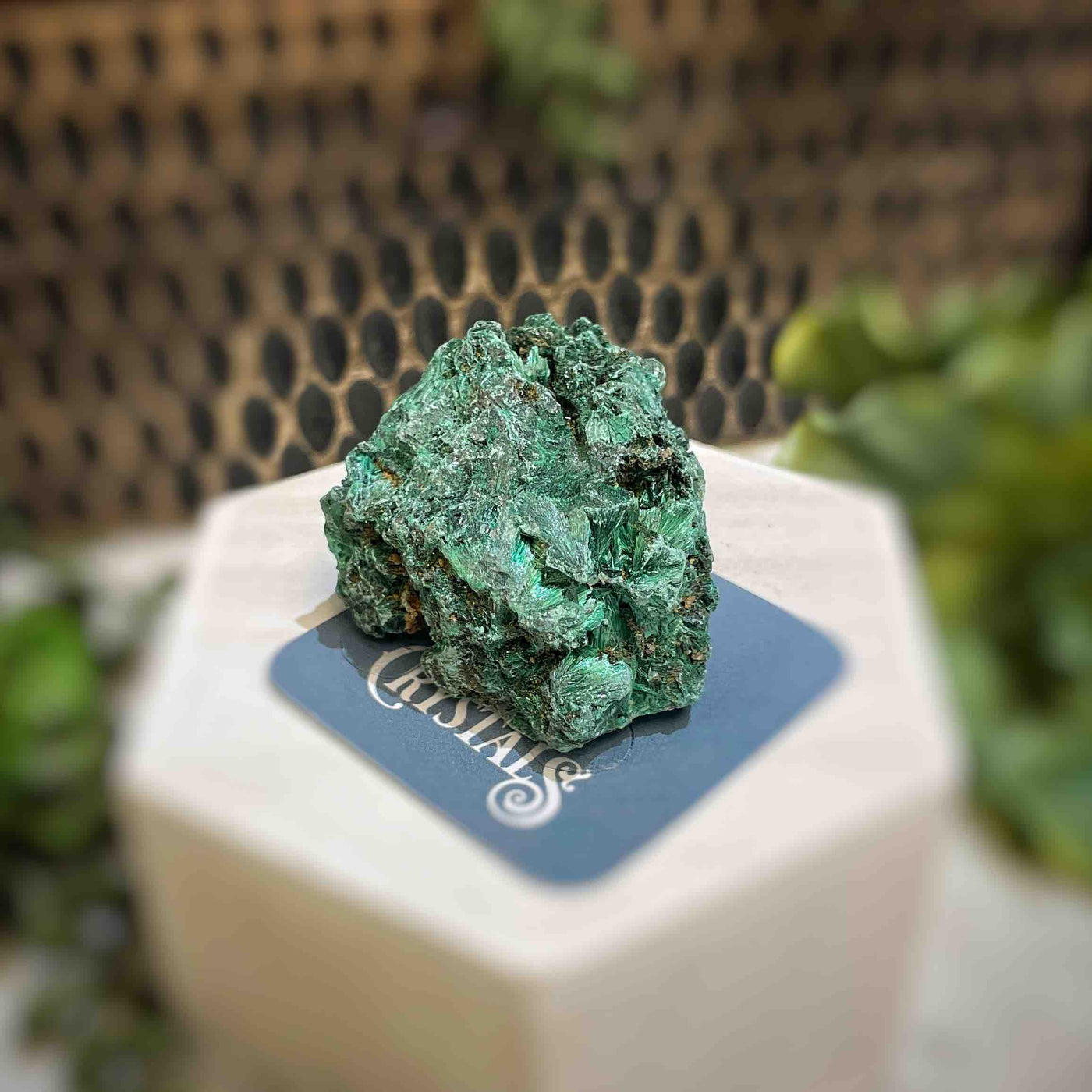Malachite - Specimen - QQ436