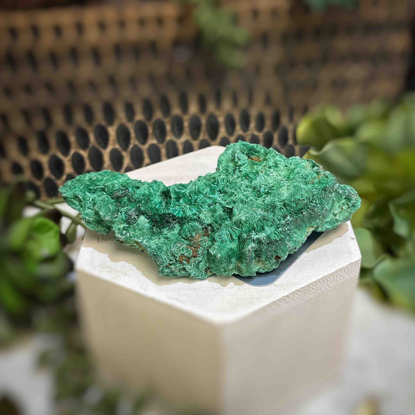 Malachite - Specimen - QQ437