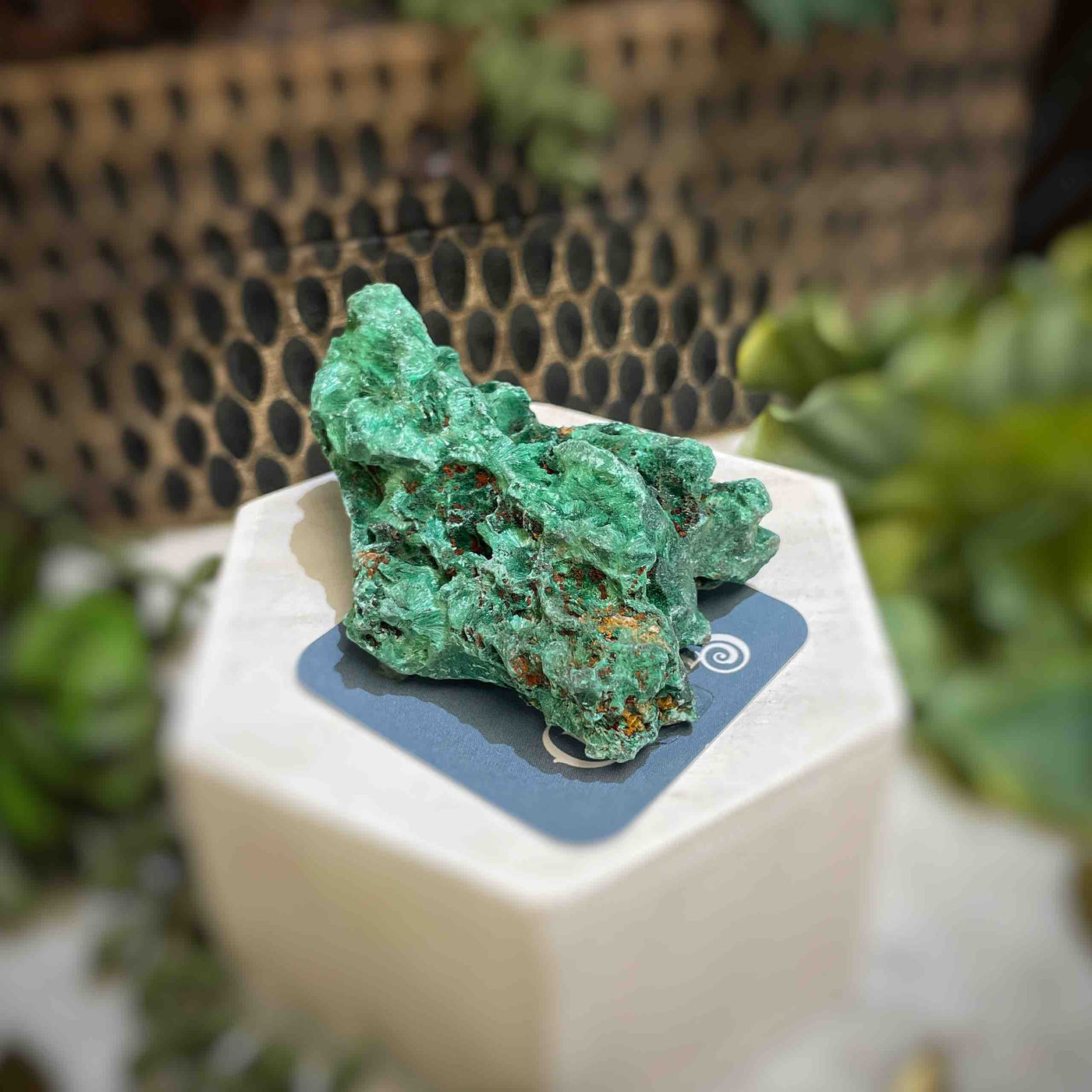 Malachite - Specimen - QQ438