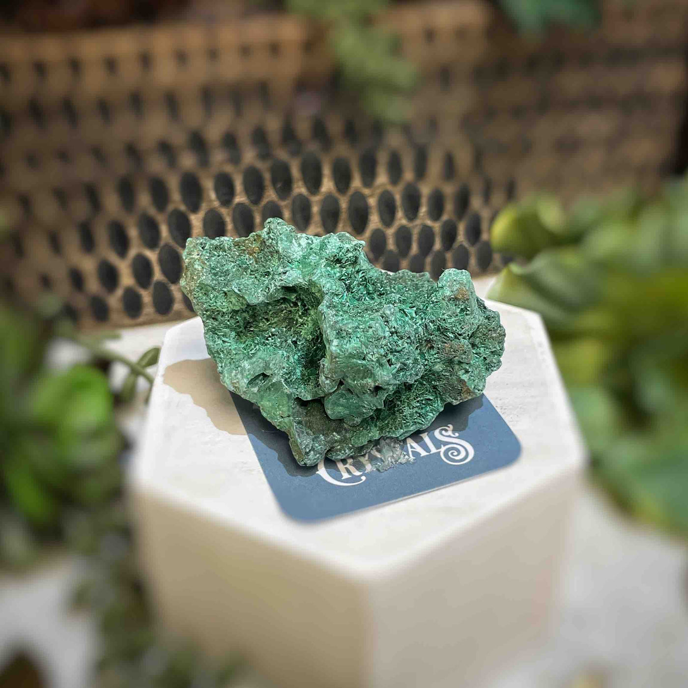Malachite - Specimen - QQ439