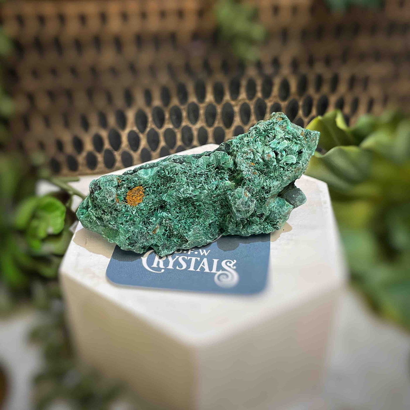 Malachite - Specimen - QQ440