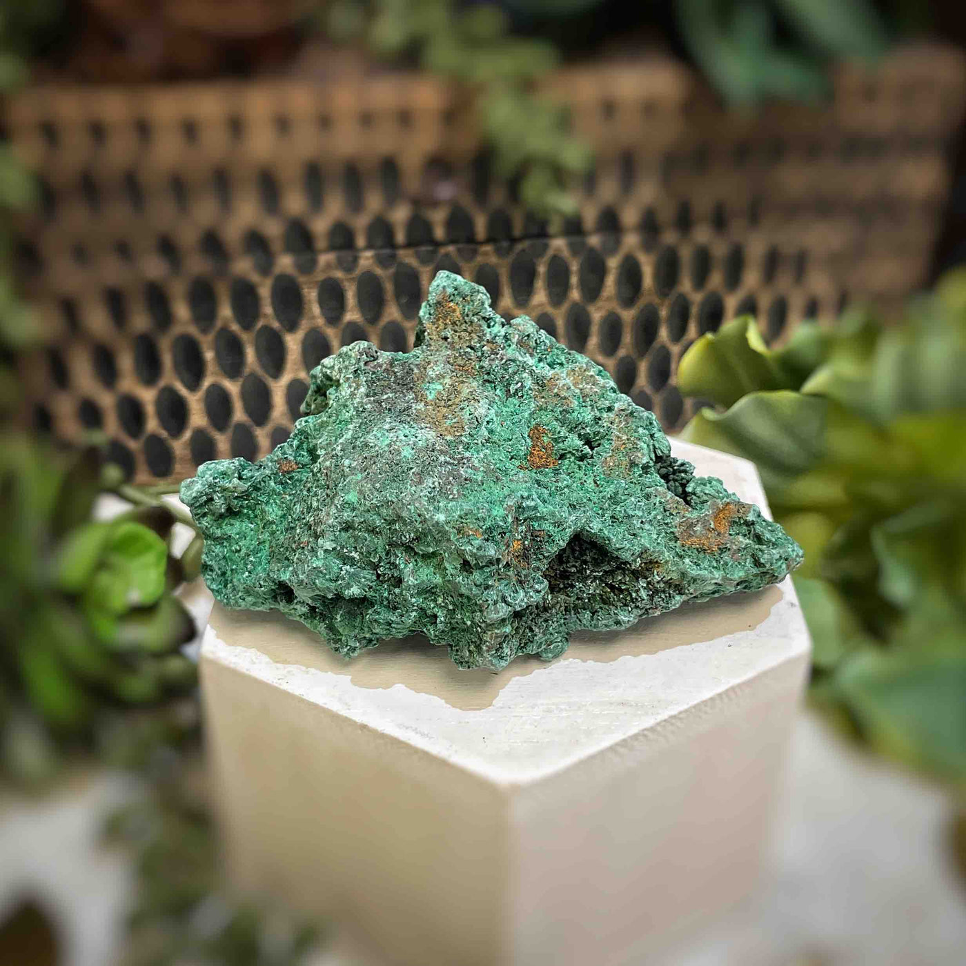 Malachite - Specimen - QQ442