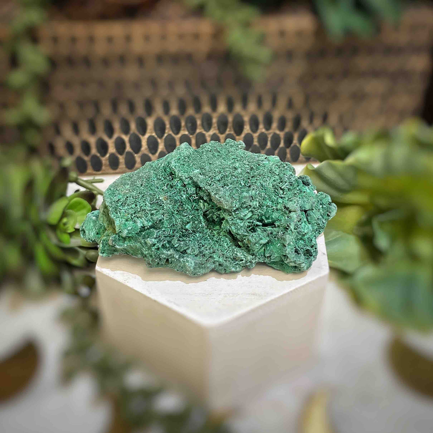 Malachite - Specimen - QQ443